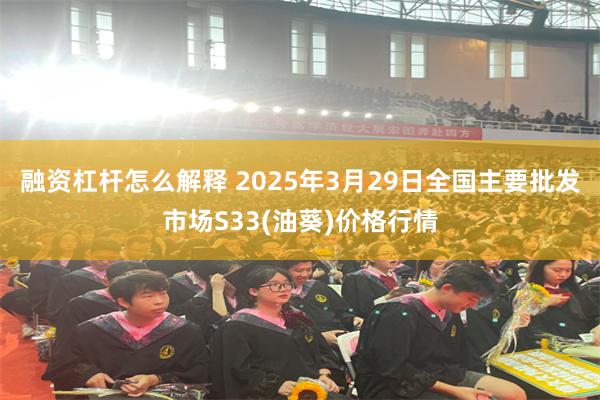 融资杠杆怎么解释 2025年3月29日全国主要批发市场S33(油葵)价格行情