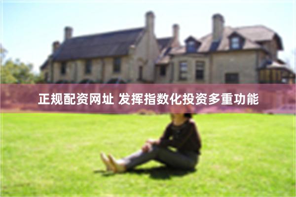 正规配资网址 发挥指数化投资多重功能