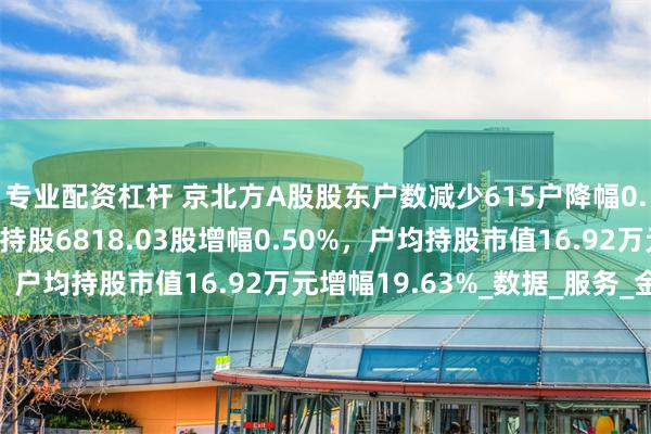 专业配资杠杆 京北方A股股东户数减少615户降幅0.49%，流通A股户均持股6818.03股增幅0.50%，户均持股市值16.92万元增幅19.63%_数据_服务_金融