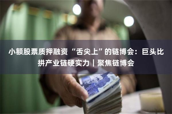 小额股票质押融资 “舌尖上”的链博会：巨头比拼产业链硬实力｜聚焦链博会