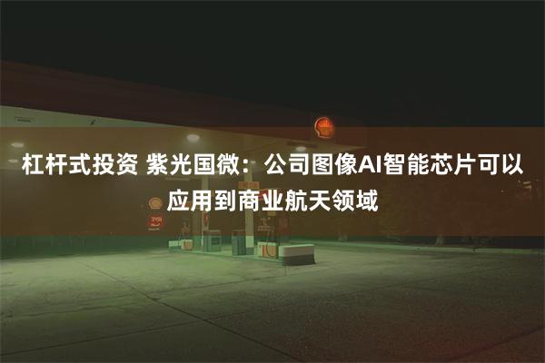 杠杆式投资 紫光国微：公司图像AI智能芯片可以应用到商业航天领域